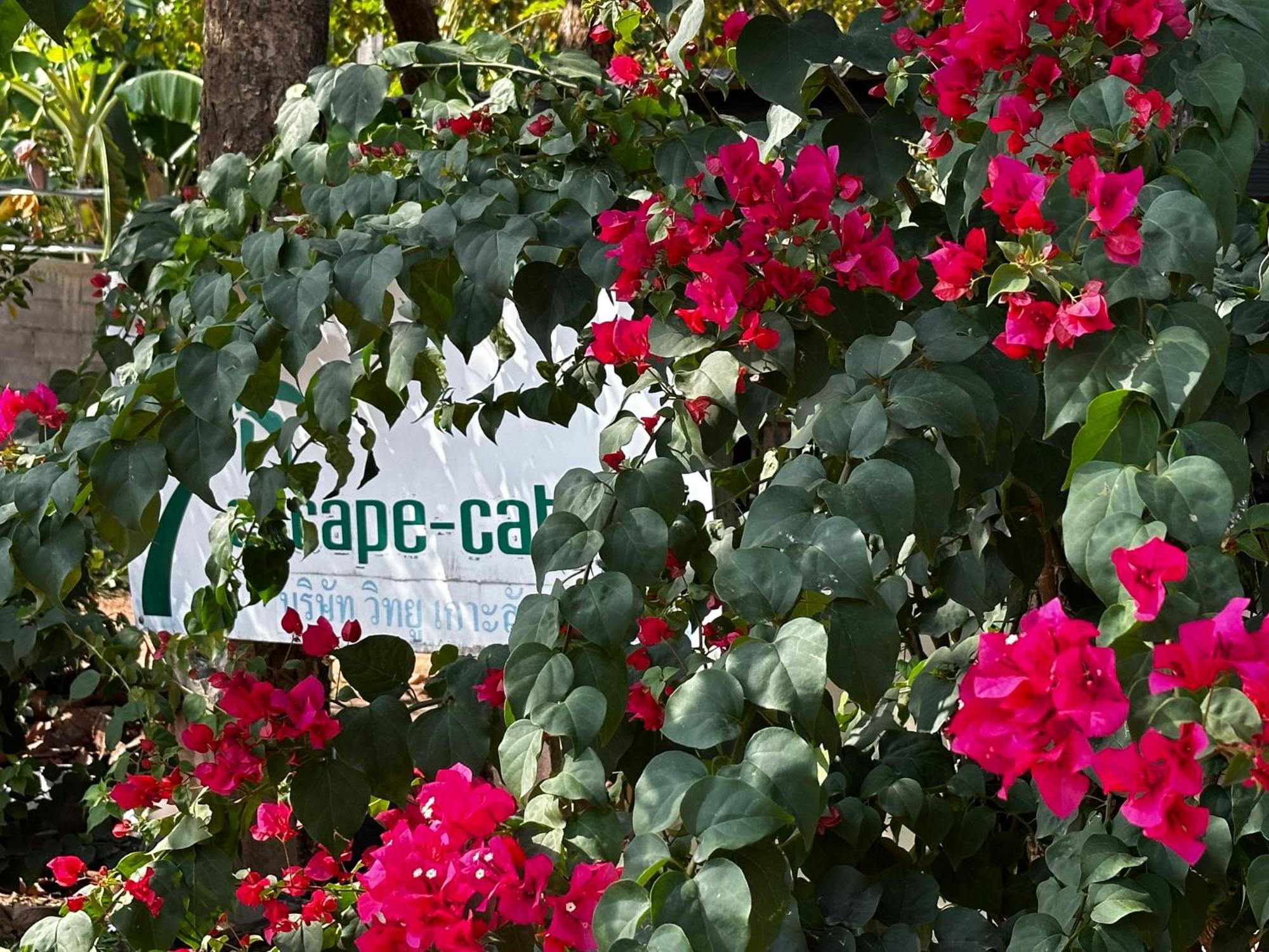 Escape-Cabins Ko Lanta Zewnętrze zdjęcie